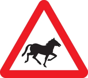 الخيول البرية أو المهور