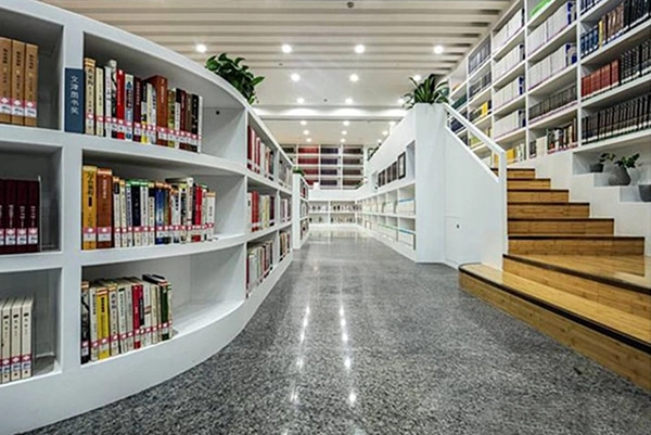 مشروع تصميم مكتبة عامة