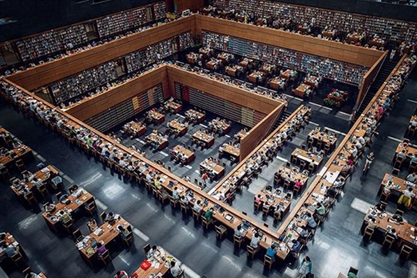 مشروع تصميم مكتبة عامة