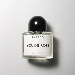 عطر يونغ روز