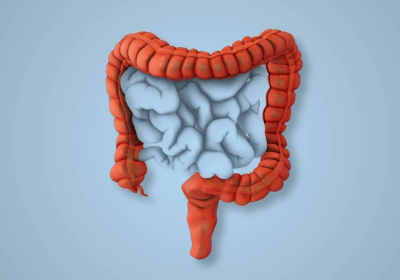 القولون العصبي