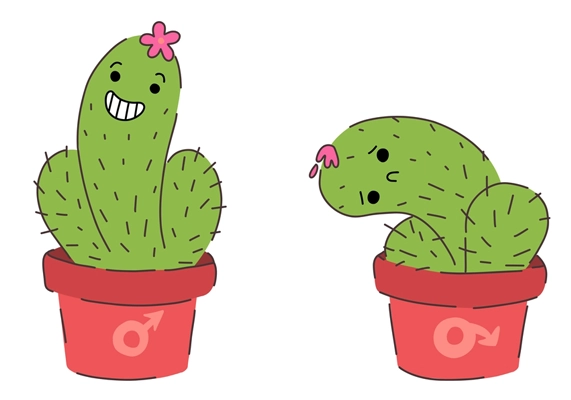 القذف المبكر