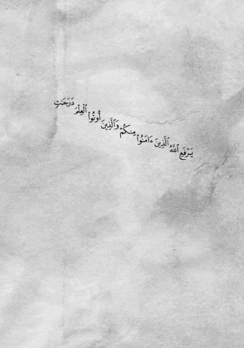 يَرْفَعِ اللَّهُ الَّذِينَ آمَنُوا مِنكُمْ وَالَّذِينَ أُوتُوا الْعِلْمَ دَرَجَاتٍ