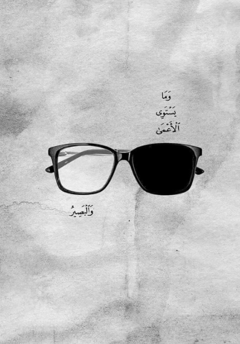 وَمَا يَسْتَوِي الْأَعْمَىٰ وَالْبَصِيرُ