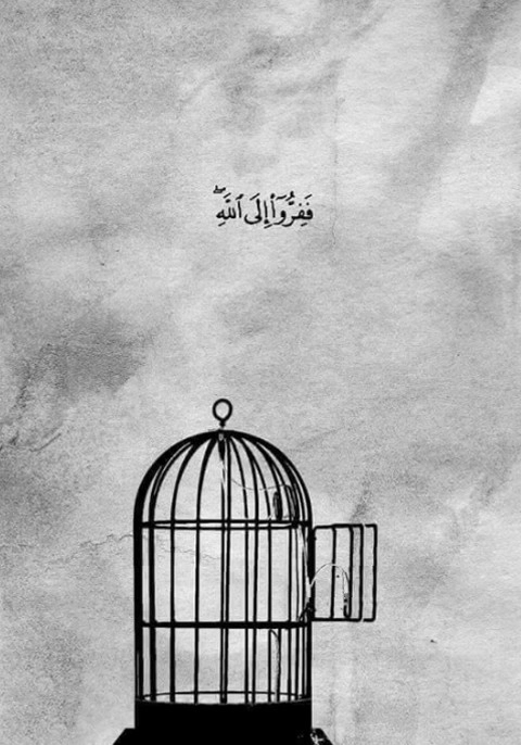 فَفِرُّوا إِلَى اللَّهِ ۖ إِنِّي لَكُم مِّنْهُ نَذِيرٌ مُّبِينٌ