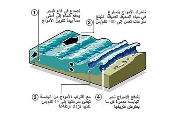 التسونامي أثناء نشوئها